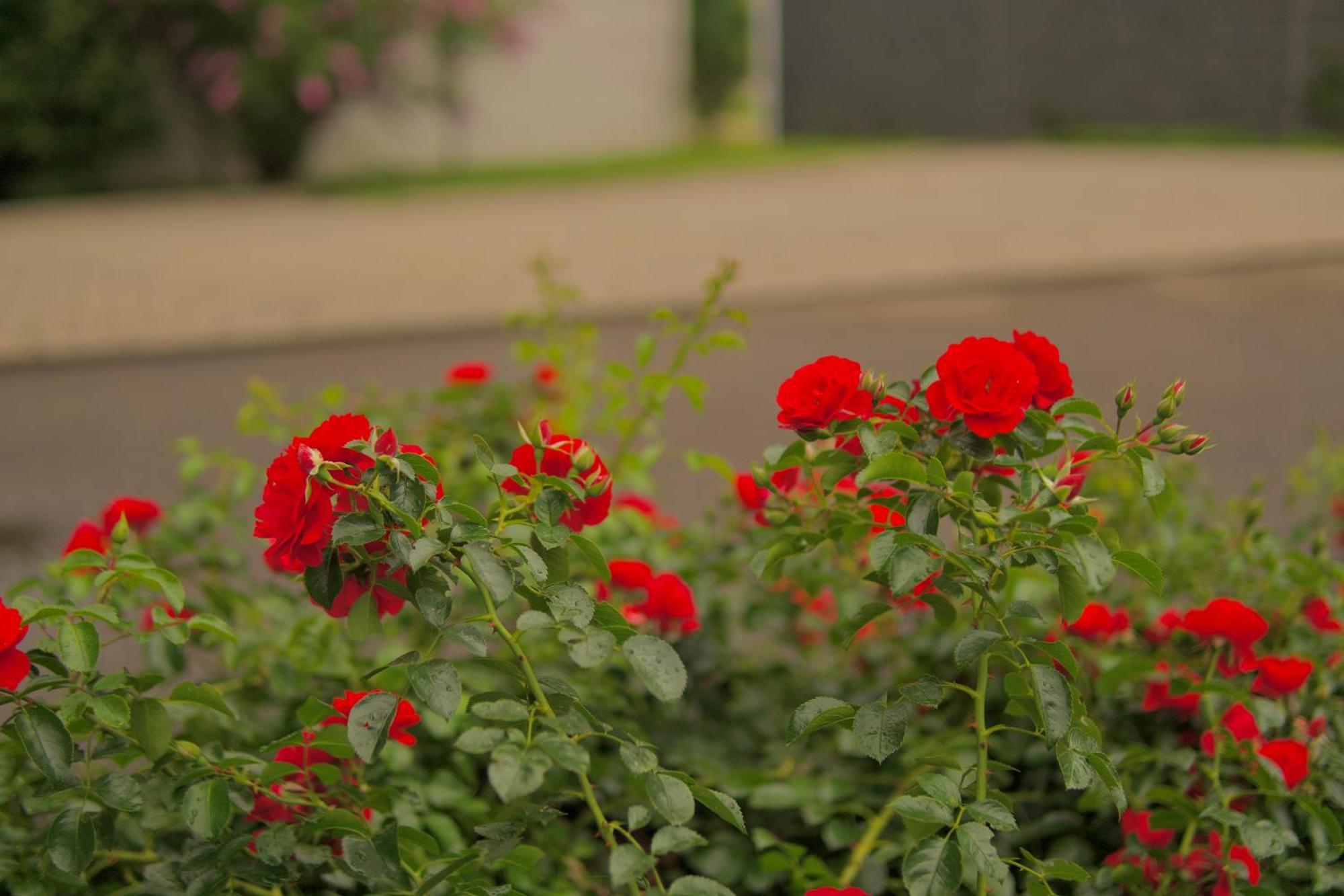 Dettingen an der Erms Bed & Breakfast Outlet Hotel מראה חיצוני תמונה