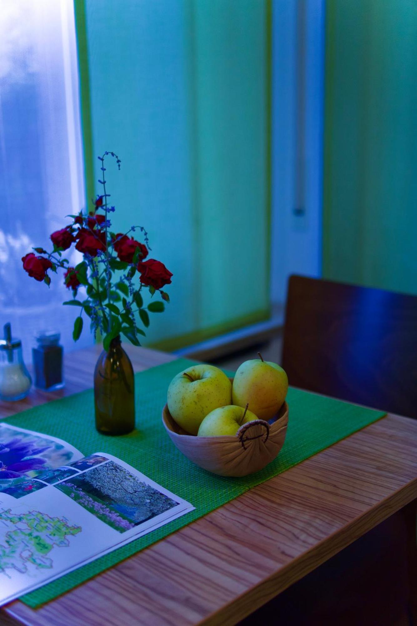 Dettingen an der Erms Bed & Breakfast Outlet Hotel מראה חיצוני תמונה